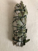 Load image into Gallery viewer, 4-5” Sage smudge stick - eucalyptus (1)
